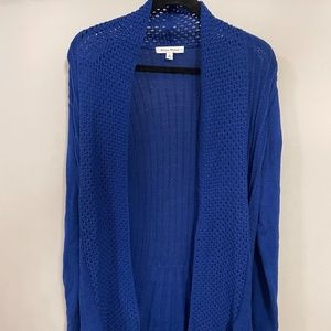 Blue Cardigan